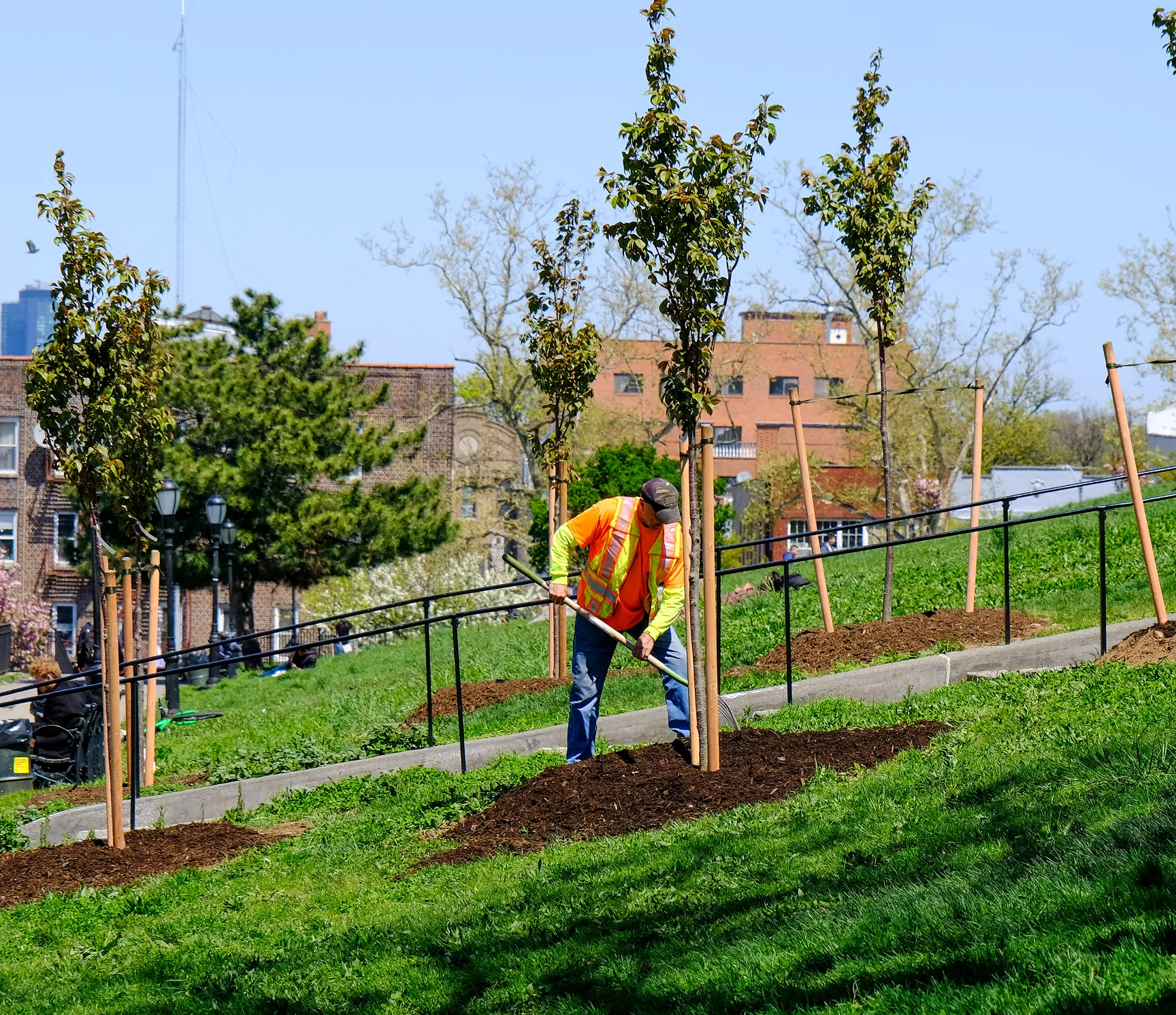 Man planting young tree with shovel